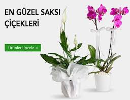 İzmir Yakaköy Çiçekçi