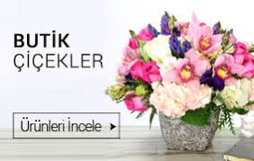 otogar çiçek   saksı çiçekleri