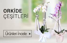 İzmir çiçekli köy çiçekçiler butik çiçekler